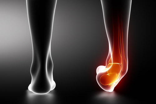 Knee and shop ankle pain